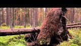 On highland robbers' paths - Carpathian Map of Adventure
