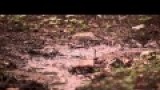 The Extreme Carpathian Mountains 